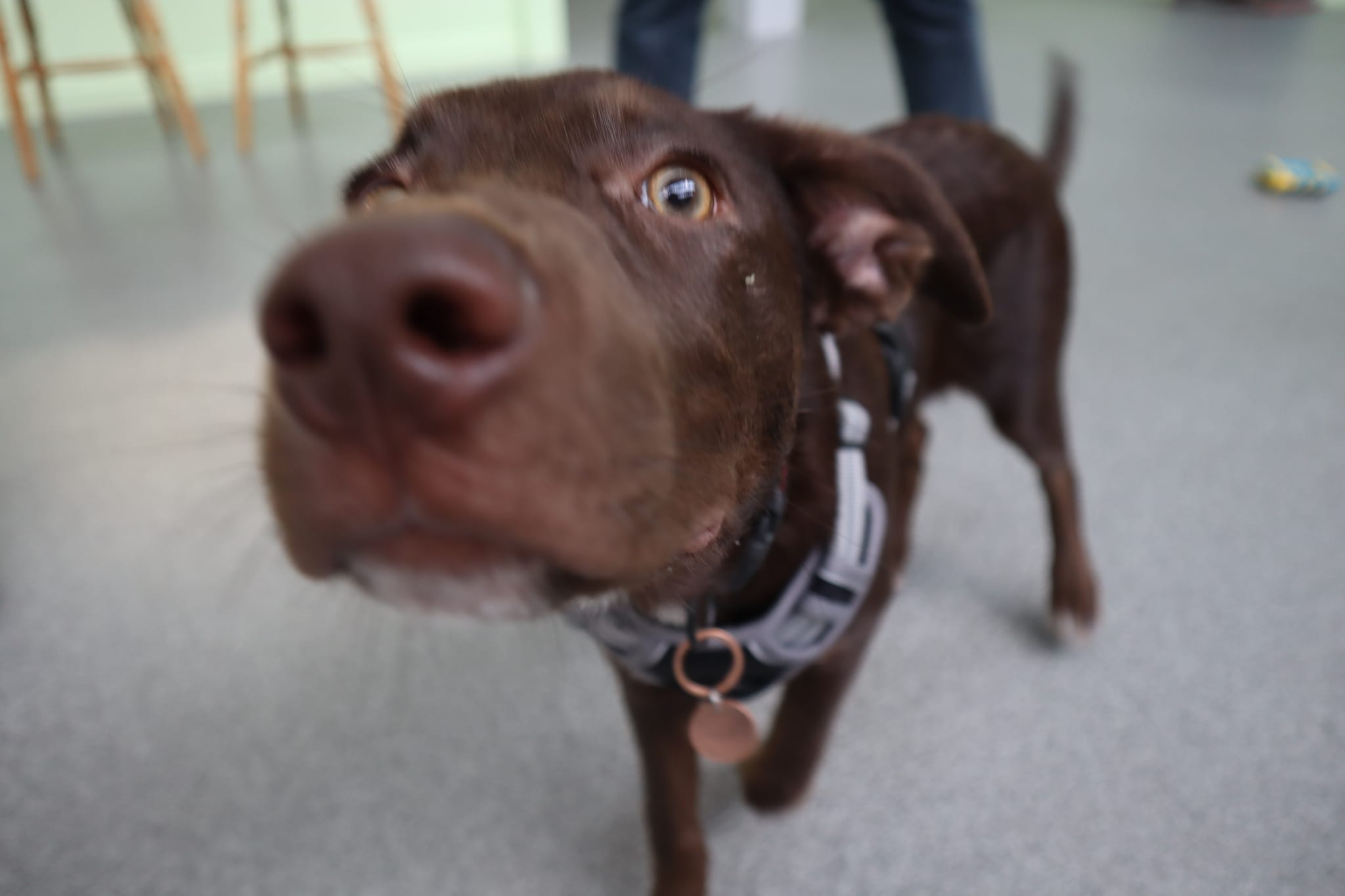 Belfast Visit Stay Eat & Drink Belfast.co.uk